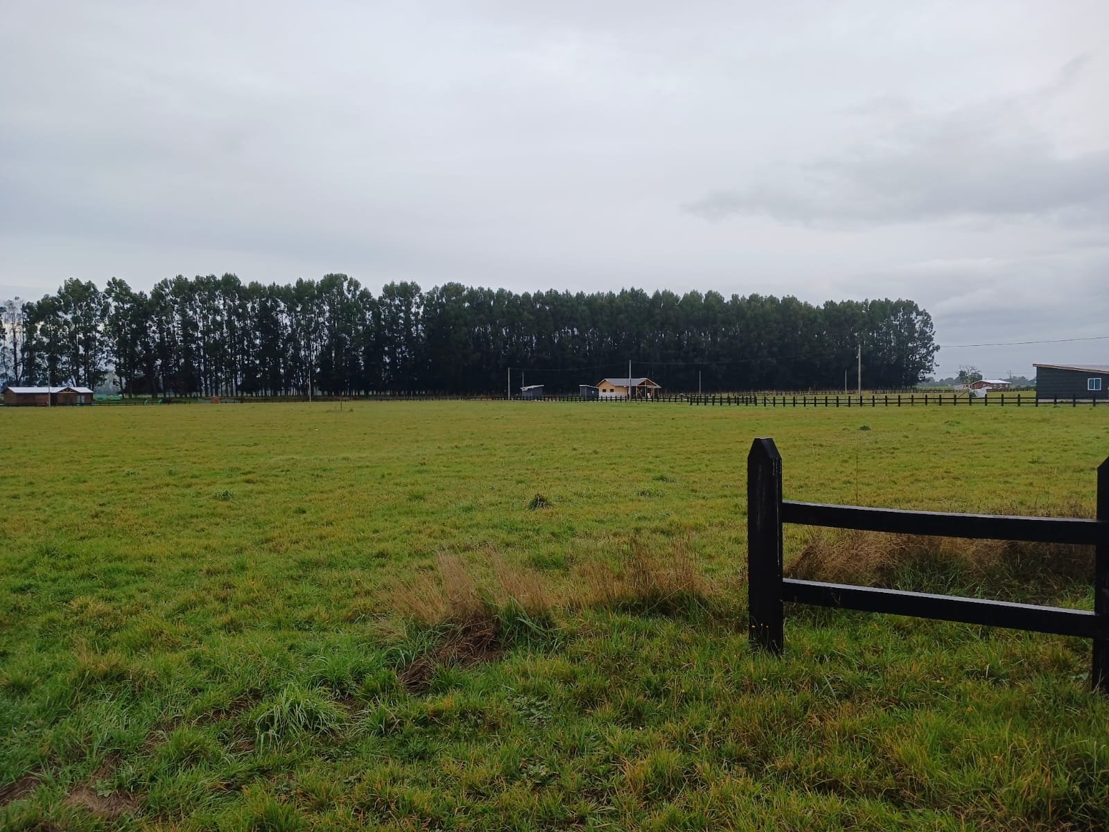 Parcela sector Champel a pasos de la ciudad de Rio Bueno Region de Los Rios