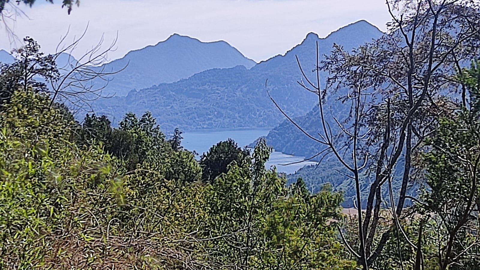 parcelas en altura sector Curriñe comuna Futrono, región de Los Ríos